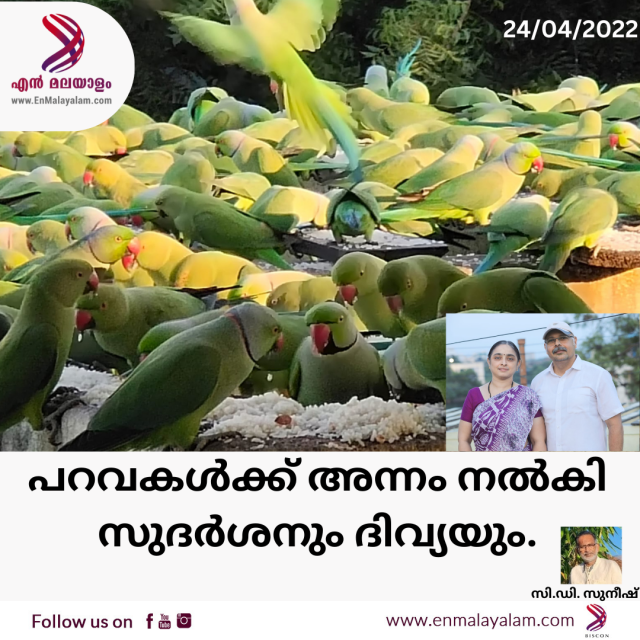 Dark Modern Breaking News Instagram Post (27)-vbmW7KUu7A.png