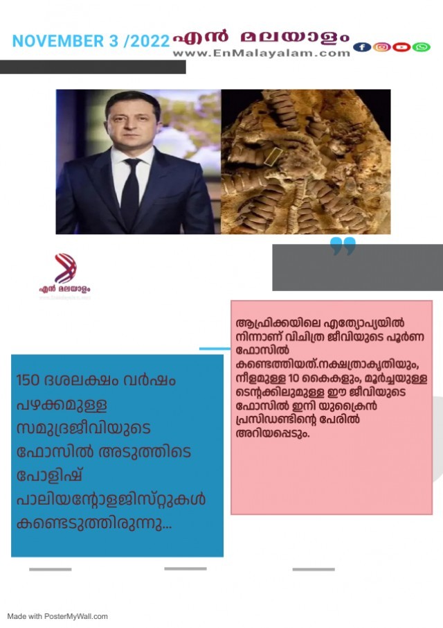 Newsletter Template - Made with PosterMyWall (2)-WfSvOWOrjJ.jpg