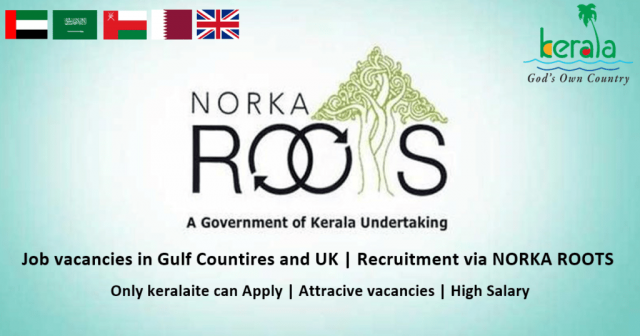 Norka-Roots-thumb-1024x538-Dey1uGEcDP.png