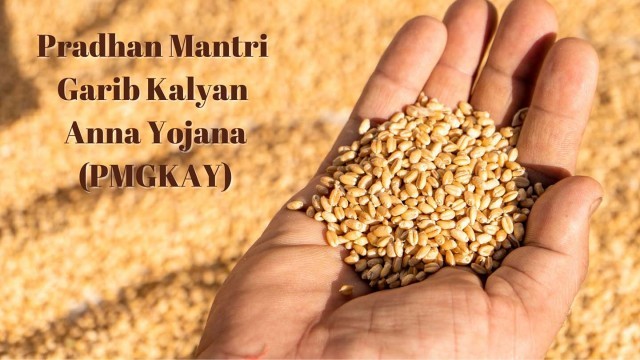 Pradhan_Mantri_Garib_Kalyan_Anna_Yojana_PMGKAY_6ecac9b1ca-G7wdHnXuyt.jpg