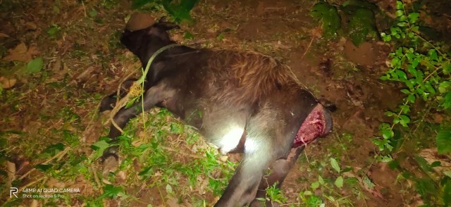 WhatsApp Image 2020-10-09 at 11.30.12 PM (1)-JAOq7VIZ6V.jpeg