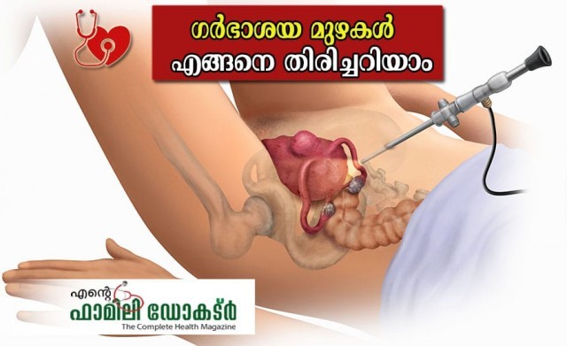 WhatsApp Image 2020-10-31 at 6.13.50 PM-XAfgqeV5Jh.jpeg