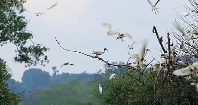 WhatsApp Image 2020-11-13 at 6.39.33 AM (1)-rPArW9hR5r.jpeg