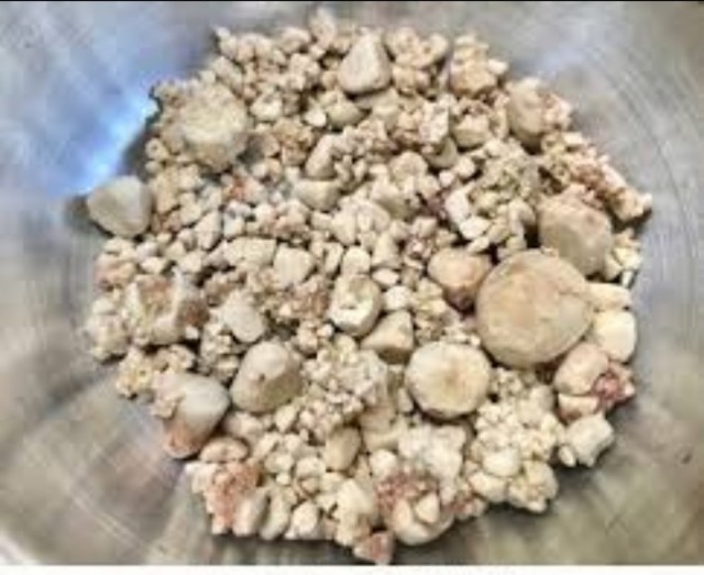 WhatsApp Image 2022-02-24 at 10.54.01 AM (1)-O2eF1m5p0Z.jpeg