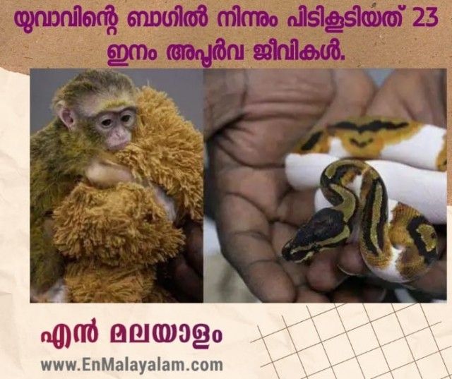 WhatsApp Image 2022-08-15 at 9.12.57 PM-kK7j8eJHOk.jpeg