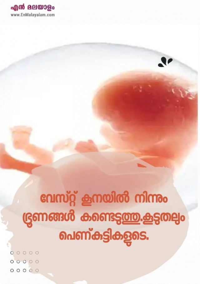 WhatsApp Image 2022-08-17 at 4.20.11 PM-G5M60eLajo.jpeg