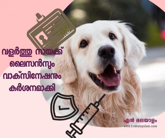 WhatsApp Image 2022-08-29 at 12.36.34 PM-RHPcxzJQ9p.jpeg