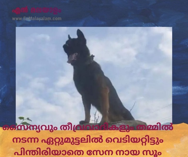 WhatsApp Image 2022-10-11 at 4.07.00 PM-rje71OZY1B.jpeg