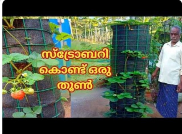 WhatsApp Image 2022-10-17 at 6.50.25 PM-APQR9KpbDv.jpeg