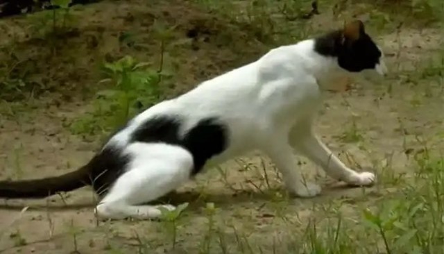 WhatsApp Image 2022-10-19 at 11.30.44 AM-0VMR1bv9Z2.jpeg