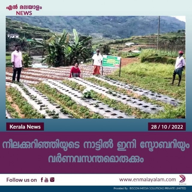 WhatsApp Image 2022-10-28 at 5.45.41 AM-azc1weiXvy.jpeg