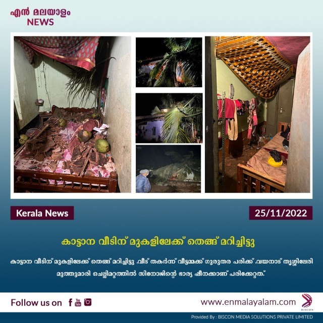 WhatsApp Image 2022-11-25 at 11.50.09 AM-ZbZyh893N4.jpeg