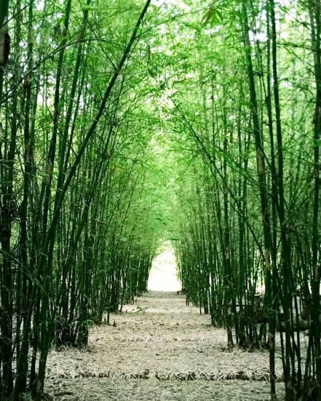 WhatsApp Image 2023-03-20 at 9.54.31 PM-jWPjo3R8ui.jpeg