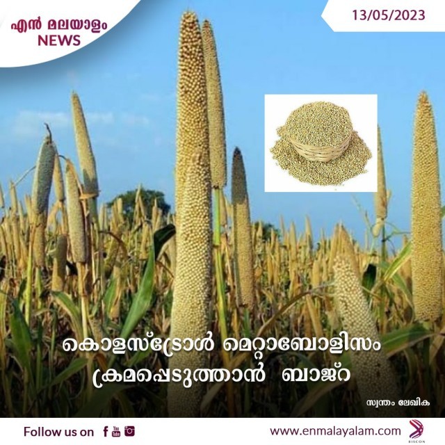 WhatsApp Image 2023-05-13 at 11.51.10 AM-9RVAXVaomR.jpeg