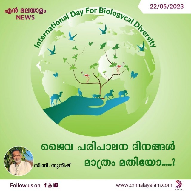 WhatsApp Image 2023-05-22 at 4.42.05 PM-hFYN6XwSUg.jpeg