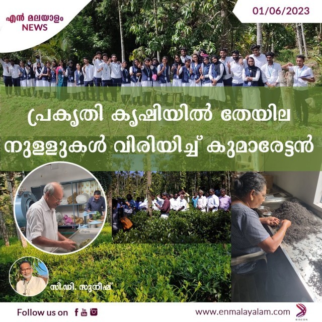 WhatsApp Image 2023-06-01 at 2.53.35 PM-JLDoJ0vWDa.jpeg