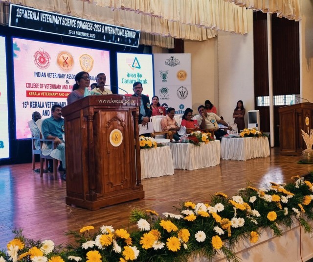 WhatsApp Image 2023-11-17 at 12.28.22 PM-0yddn2TDJU.jpeg