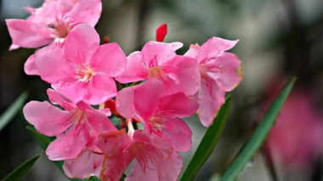 WhatsApp Image 2024-05-04 at 10.24.35 AM-ZcY2TkhboD.jpeg