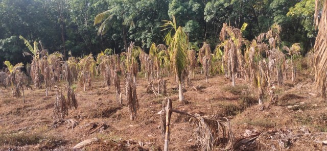 WhatsApp Image 2024-05-08 at 4.50.20 AM (1)-H9Lo3M3lhS.jpeg