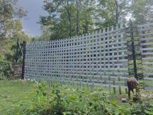 WhatsApp Image 2024-06-15 at 10.10.28 AM (1)-fCLtzg56l6.jpeg