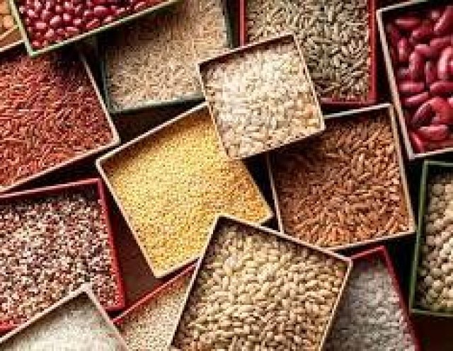 WhatsApp Image 2025-04-02 at 5.40.43 AM-goDB0FbyIE.jpeg