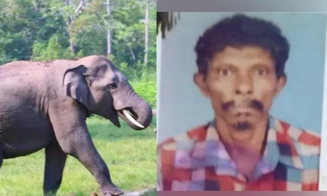 WhatsApp Image 2025-06-26 at 6.09.27 AM-WsYaxiJMfL.jpeg