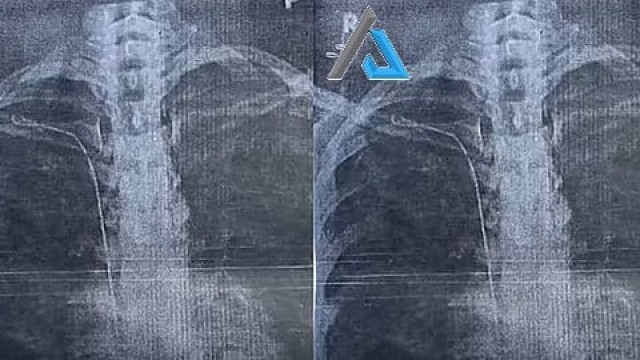 WhatsApp Image 2025-08-28 at 5.26.23 AM-NjlGY3ZfN1.jpeg