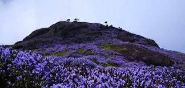 WhatsApp Image 2025-08-29 at 5.45.05 AM-ThXu8hVkoU.jpeg