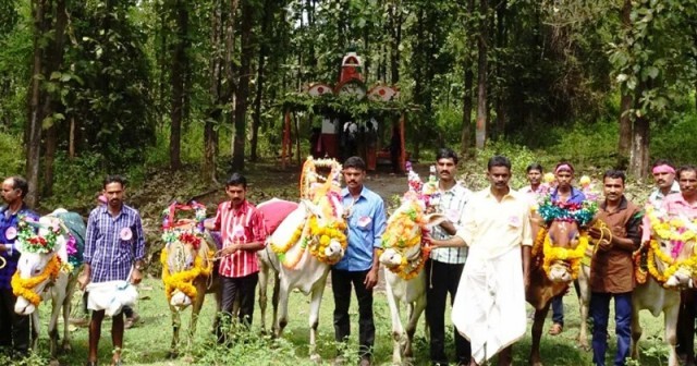 WhatsApp Image 2025-10-23 at 5.48.05 AM-2WMBF5Mjzw.jpeg