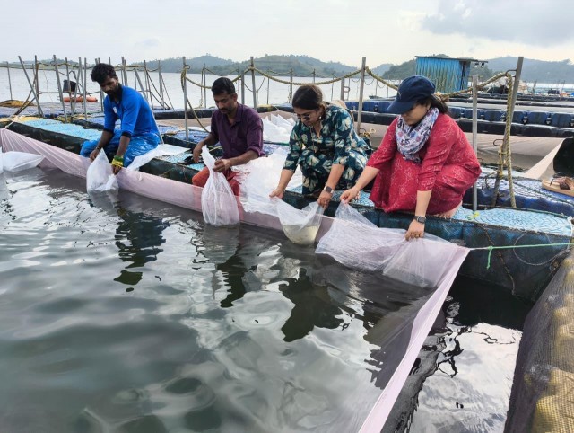 WhatsApp Image 2025-11-03 at 6.14.14 AM-yaICQfG7cJ.jpeg