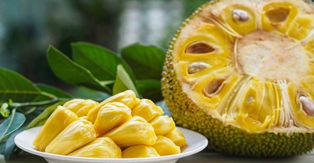 chakka-jackfruit-e7np626mmd.jpg