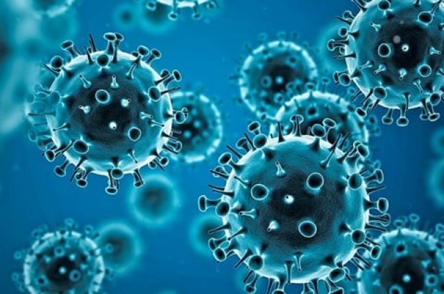 coronavirus-Rutmadywib.jpg