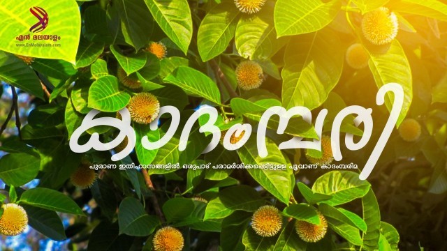 deeepa -hIpZl2YB4R.jpg