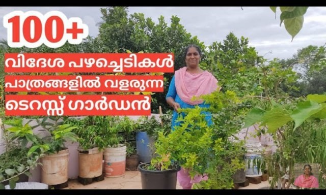 deepa 8-bjJghVUHFb.jpg