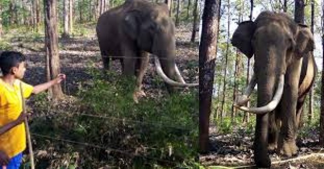 download (2)-glFOBGUnUD.jpg