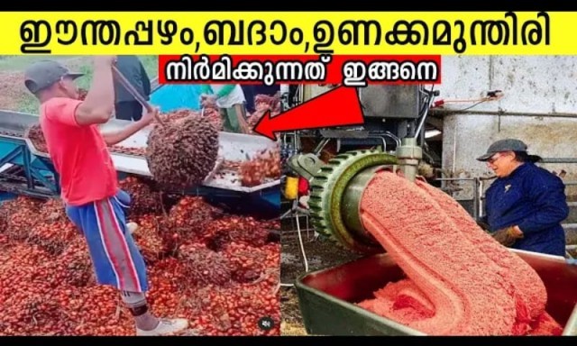 dry fruits-8FycdvcrZW.jpg