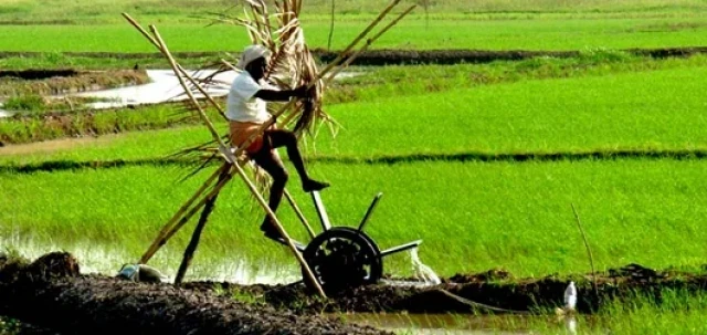 farmer-gEC4ObzRXr.webp