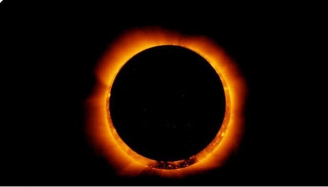 fir 1-f2OdPIeiPo.jpg