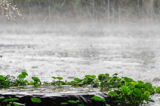 havy rainfall-vHLg3xiVMv.jpg