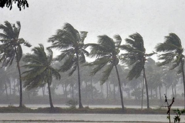 kerala-monsoon-rain-Pj3iYuX1SO.jpg