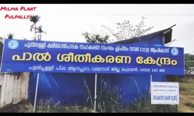 milma vedio-8wmmDjhXKg.jpeg