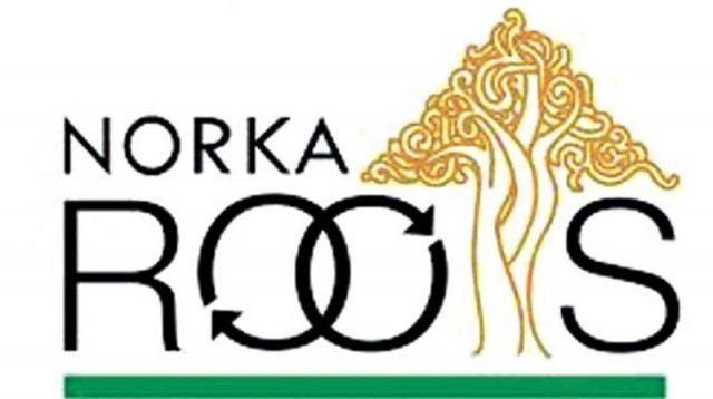 noorka-re6oHQqPEl.jpeg