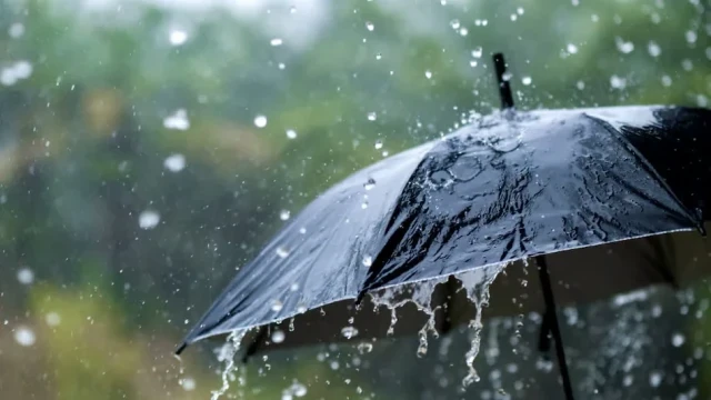 rain-wUC5T88J11.webp