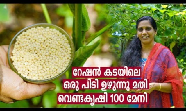 venda krishi-n2wxXyEFpw.jpg