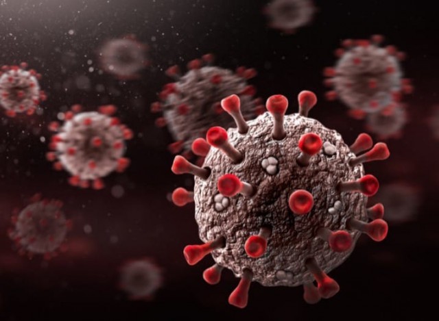 who name-ECl2hF00Mb.jpg