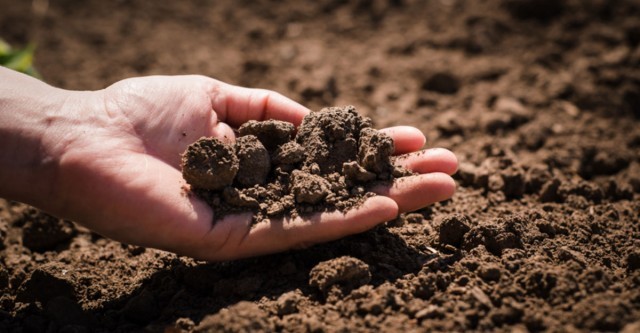 world-soil-day-fPwqWrR5ji.jpg